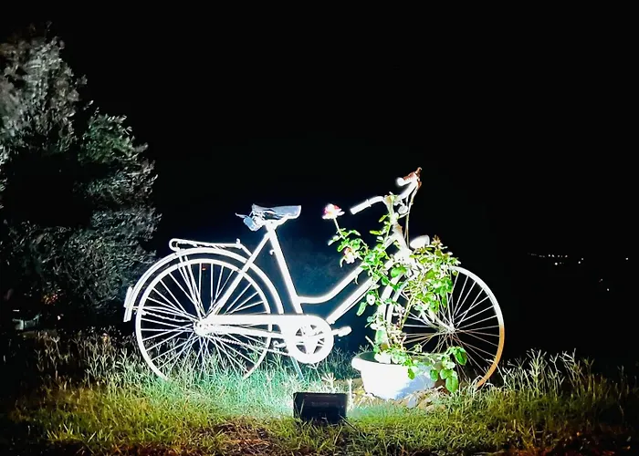 Enada Suite & Olive Farm